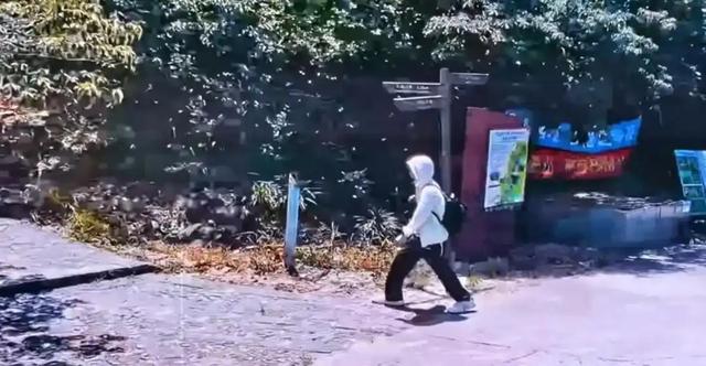 一路走好！蔡磊遗骸找到，曝身首分离惨不忍睹，仍有一个谜团未解