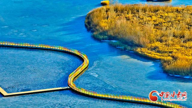 陇拍客丨张掖湿地披金装