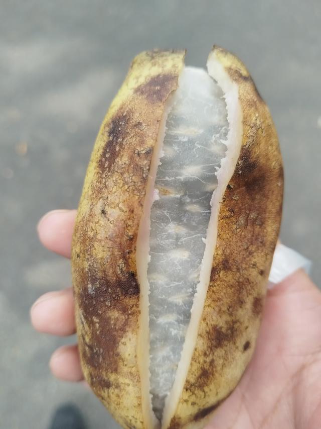 霜降时节，柿林村徒步