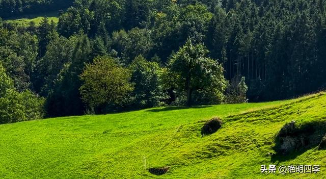 欧游杂记（5）‖ 齿轮火车几上几下瑞吉山，缆车凌空飞跃韦吉斯