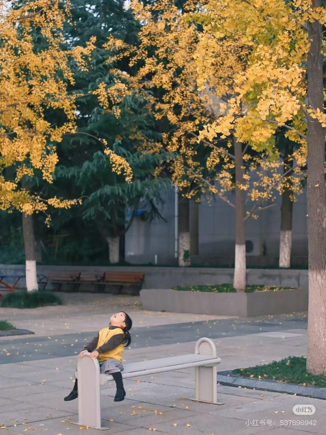 最适合拍银杏的地方！ 临沂十个0元打卡点，抓住今年最后的金色风暴！