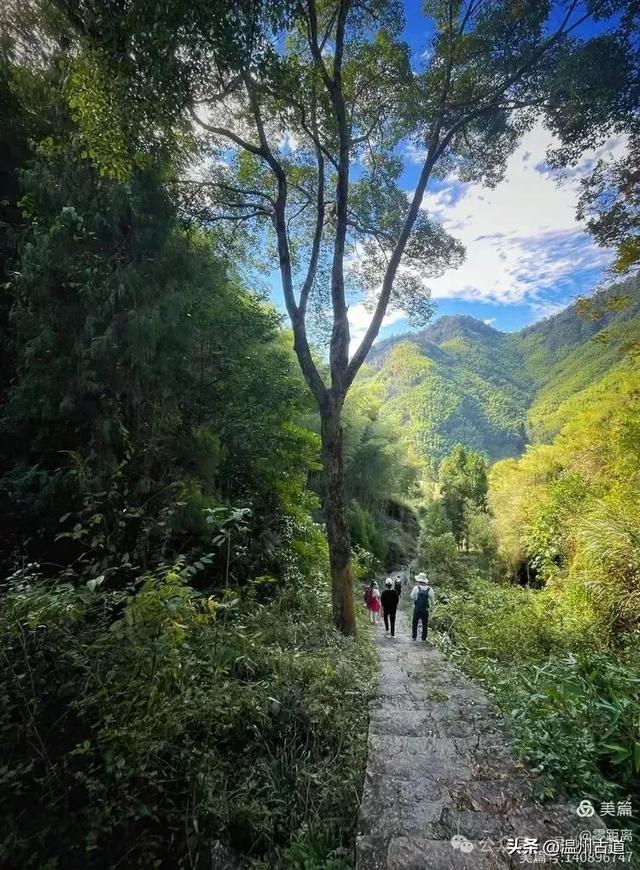 醉美林坑晒秋！这条连接两个避世古村落的省一级古道，周末可走起