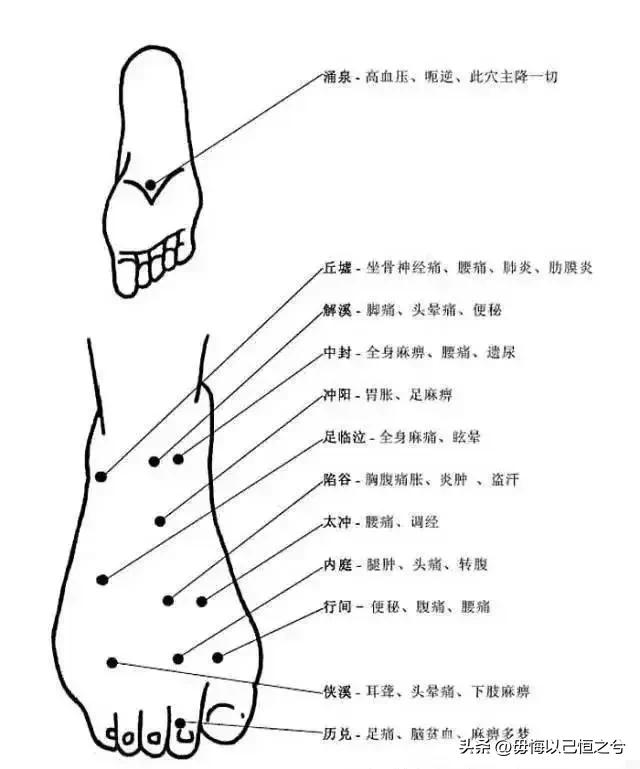 人体-结构-功能-系统