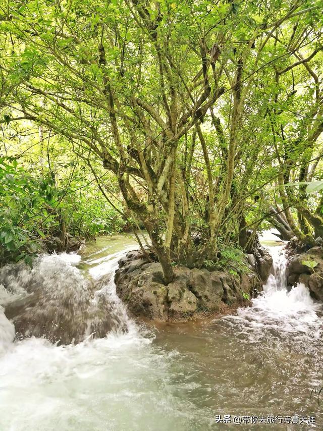 小七孔景区的瀑布和水石森林