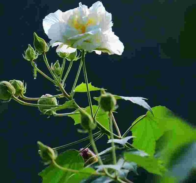 我是沈阳人，去了趟湖北天门，不吹不黑，天门比网上评价的还要好