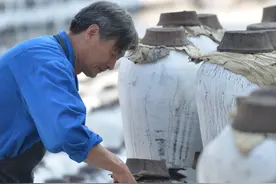 100斤粮食能出多少酒？利润有多少？四川35年老酿酒师透露3个真相图片