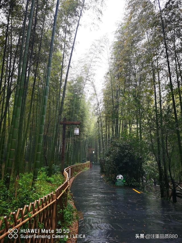 江苏是我的福地，更是我自驾游的圣地所到之处有宾至如归之感
