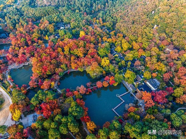 苏州居然还藏着一个“中国四大枫叶胜地”！
