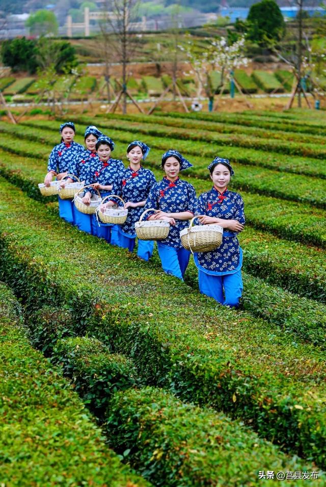 「 日 照 」 为何能成为康养优选地？