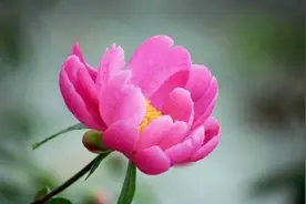 全世界最狠毒的3个星座，惹谁不要惹他们图片