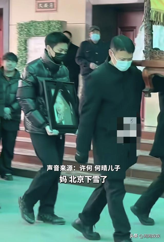 何晴儿子悼词句句催泪！公开母亲临终细节，捧骨灰动作全场泪目！