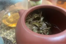 喝茶一年的费用图片