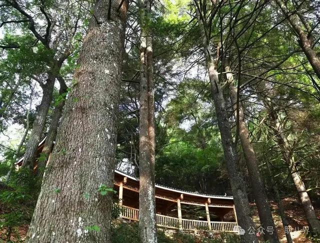 游邵阳：崀山厚重，宝庆千年，余韵悠长！