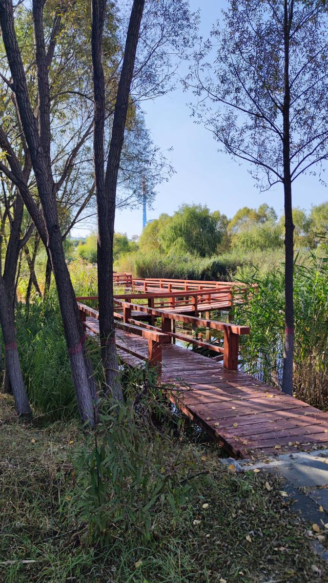 乌兰察布霸王河大桥两岸，河水缓缓流淌，两岸绿树成荫，空气清新