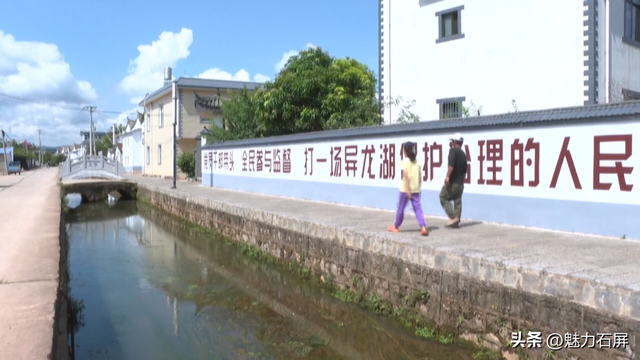 跨越山海的生态之约 奏响人与自然和谐乐章