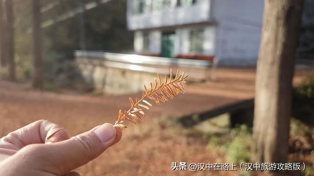 汉中洋西路自驾邂逅冬日限定美景！