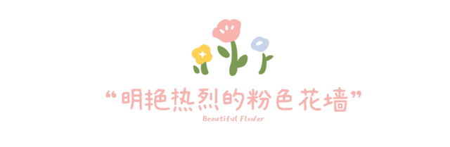 龙岗秋冬浪漫打卡指南来了！瀑布花海、空中花路…这份粉色攻略快收好！