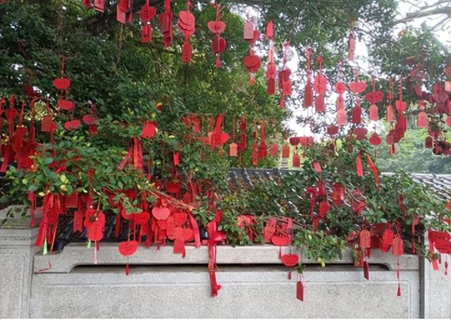 罗浮一览律途宽，登高望远业更勤