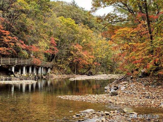 2025辽宁赏秋之旅日记(2)——游览丹东蒲石河森林公园