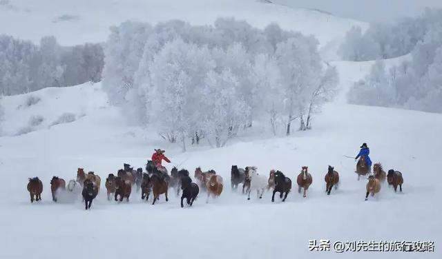 2025冬季旅行目的地推荐，浪漫冰雪、阳光海滩，总有一款治愈你！
