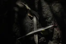 上古神兽——‘麒麟’，如果幻化成人形，会是什么样子?图片