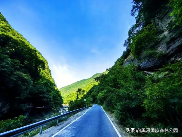 进山纳凉来黑河国家森林公园，让你逃离酷暑，一键降温！