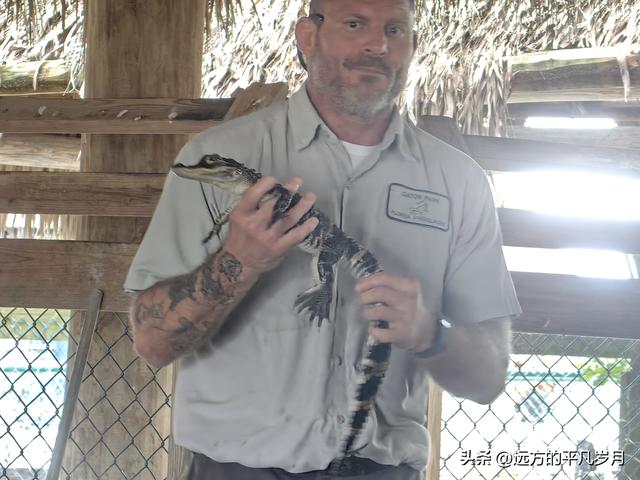 大沼泽地美国国家公园（迈阿密游记三）