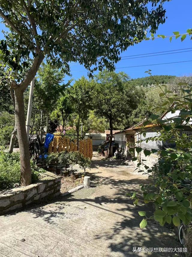 我，终于登上了岳阳山之巅！（博山登山记）
