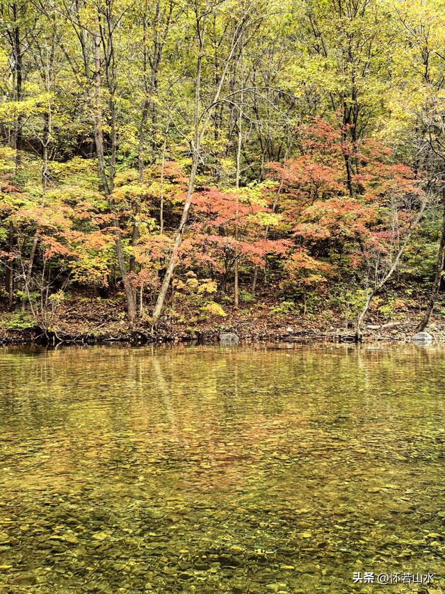 2025辽宁赏秋之旅日记(2)——游览丹东蒲石河森林公园