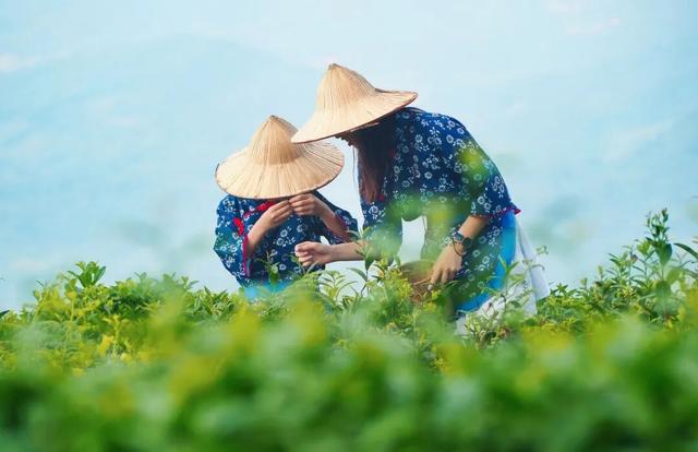 手头的事放一放，我要去雅安过五一了