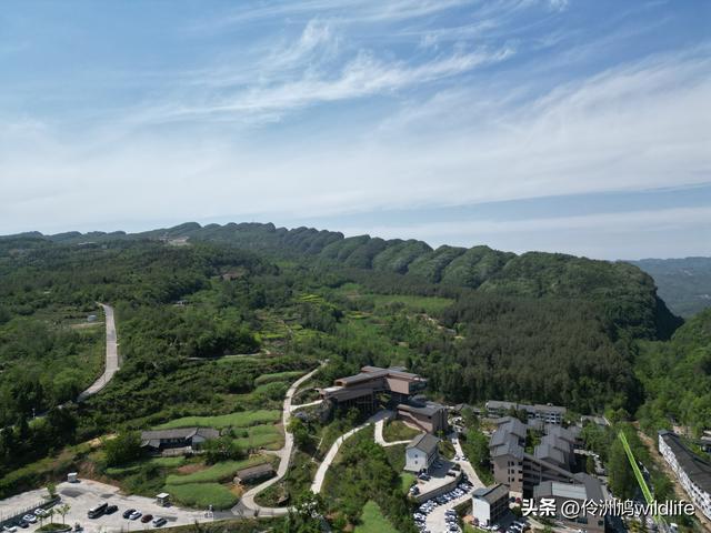 四川行(68)古蜀道——金牛道60公里徒步⑤普安到翠云廊沿途航拍