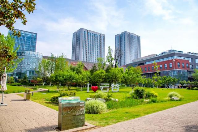 为什么要住在沣西 | 从晨光到星火