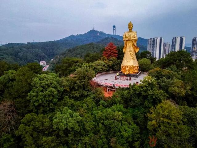 “活力大湾区，魅力新广州”来梧州旅游的大湾区小伙伴都在刷这句？原来是因为……