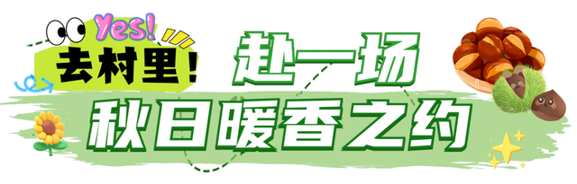 萧山人为什么总往村里跑！
