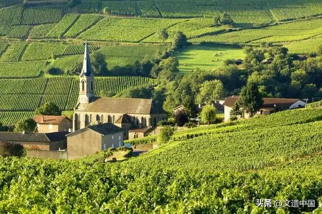 世界文化遗产里的大地艺术:全球三大绝美梯田,云山秘境桃花源