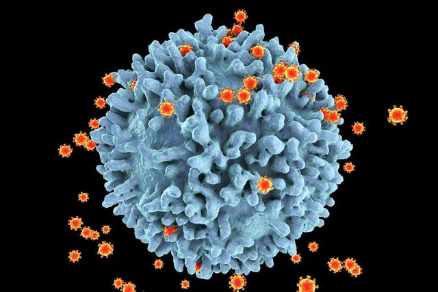 哈佛大学艾滋病科学家加入中国武汉国家病毒实验室