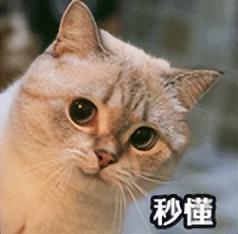 支付宝 “ 集五福 	” 今年玩法再升级！有人第一天就分到 168 元？