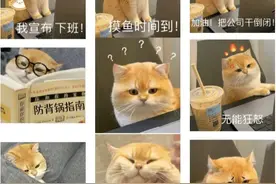 专属上班族的猫咪系列表情包来啦！附微信添加表情包教程哦！图片