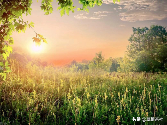 昆明知青在陇川：在傣寨插队的那段生活经历，我一辈子都不会忘记