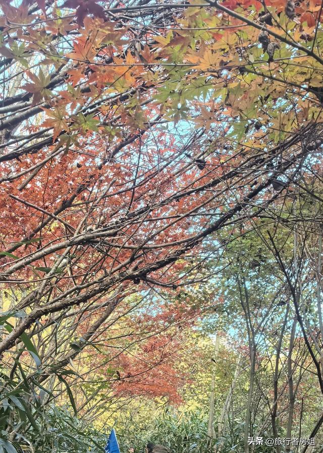真是醉了，徒步奉化东西岙徐凫岩看悬崖飞瀑堵人竟然堵到怀疑人生