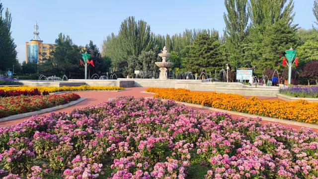 包头公园行（阿尔丁植物园、赛罕塔拉城中草原、奥林匹克公园）