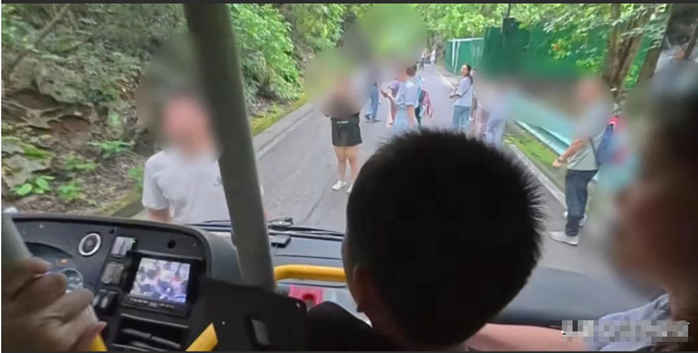 果树突发交通瘫痪！因众人堵死摆渡车道场面惊人，究竟咋回事？