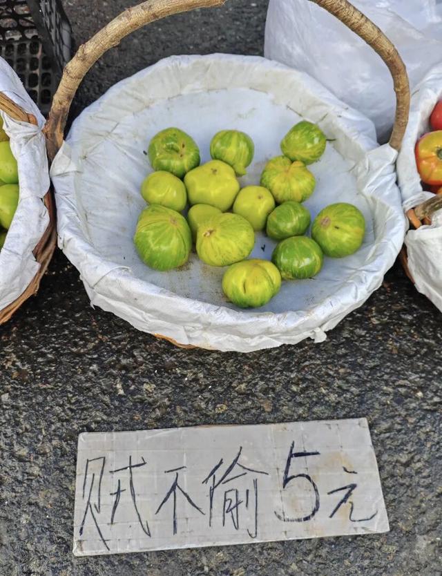 地理冷知识—东北旅游