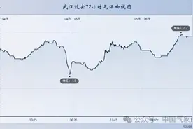 历史最大！这次武汉及湖北的冻雨，到底极端到了什么程度图片
