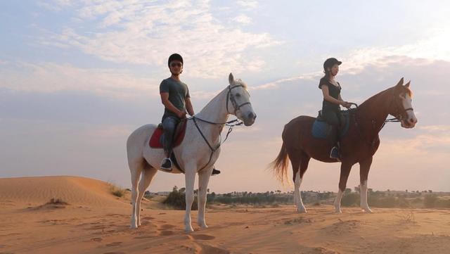 纯干货！阿联酋迪拜+阿布扎比7天6晚旅游攻略，看完直接出发！