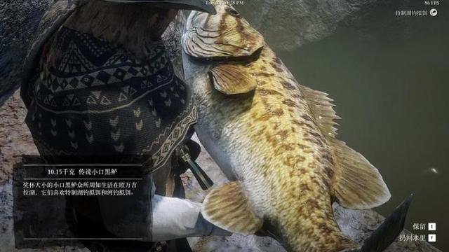这10款模拟钓鱼类游戏，连钓鱼佬都直呼内行！
