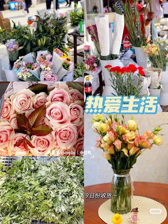 长春夏日早市合集来了！这迷人的烟火气，爱了~