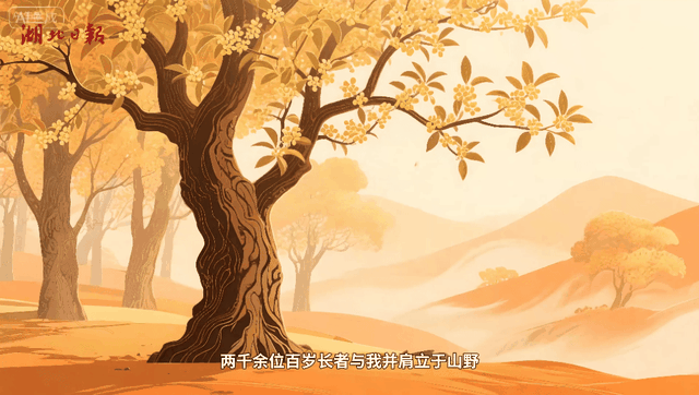 文化中国行丨桂桂“香”遇记：从千年桂乡到万家舌尖