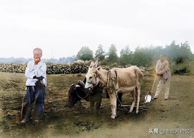 1936年，一位日本学者，走遍山东青州，拍下的17张罕见青州老照片