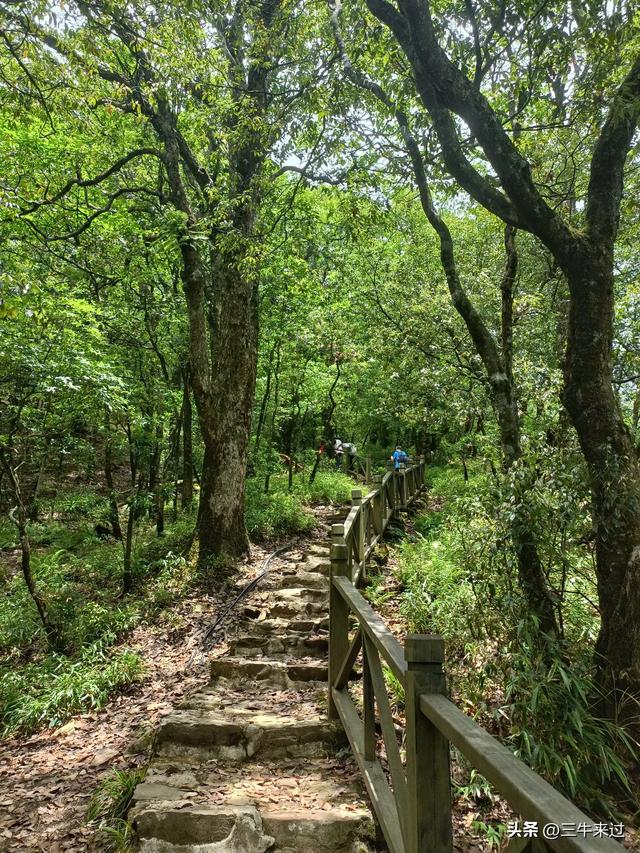 无为在歧路，贵州六日行（15）～梵净山